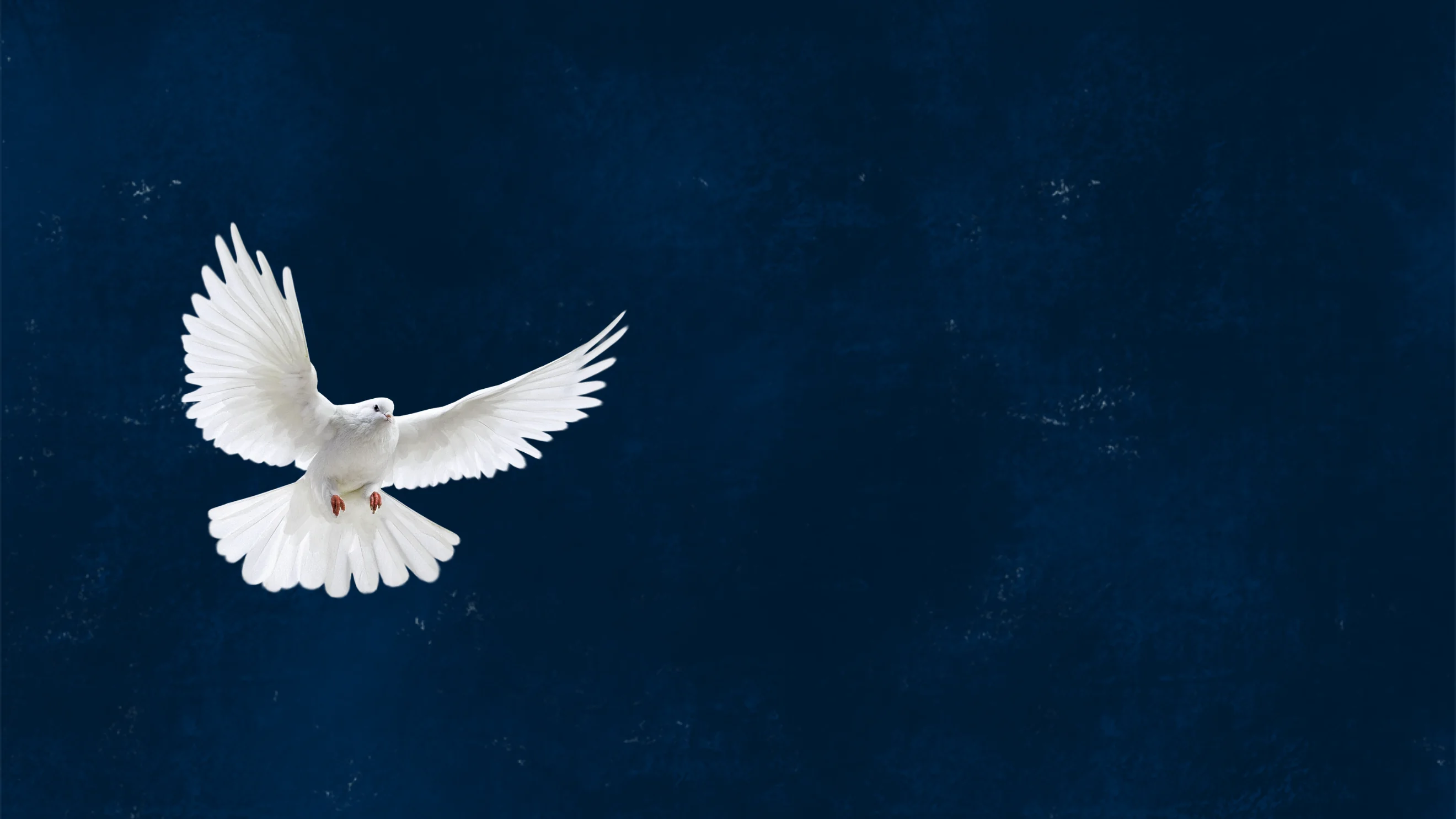 Mutiger Gleitschirmflieger in den Bergen