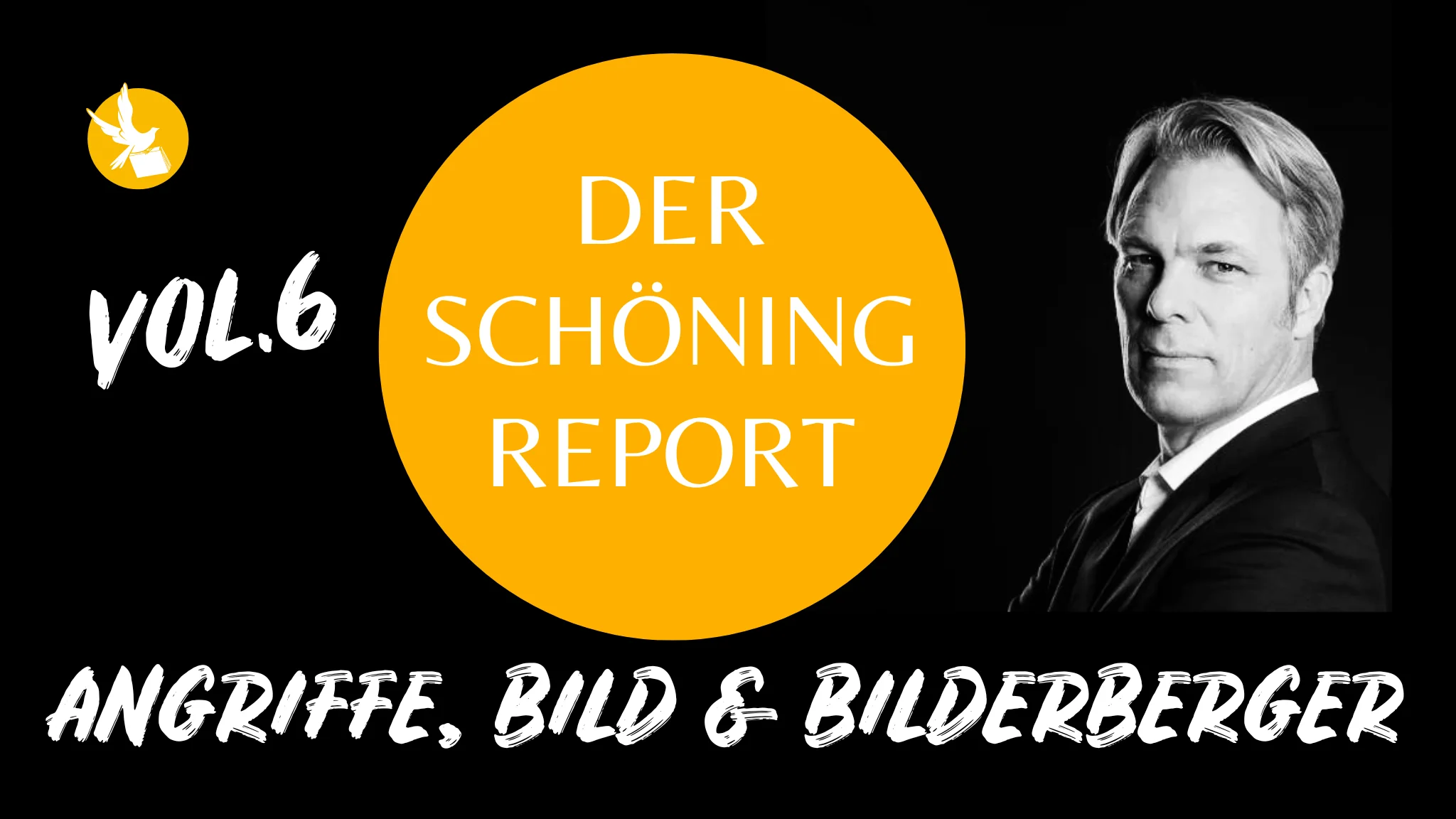 Poster für Der Schöning Report Vol. 6