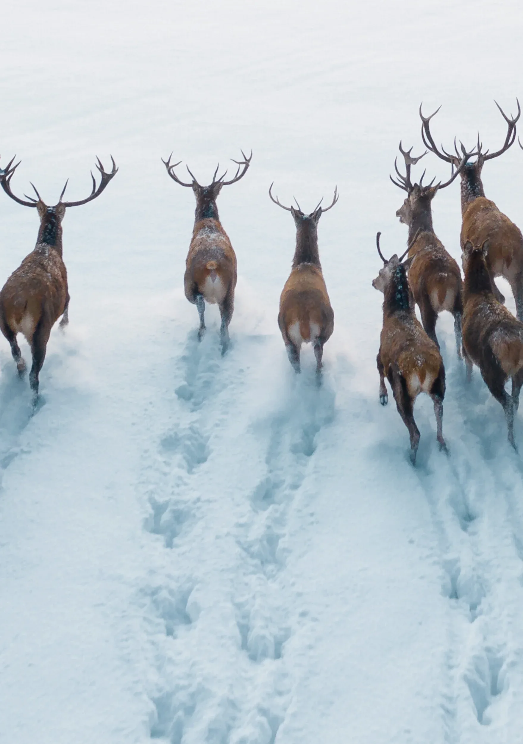 Hintergrundbild Das Gute