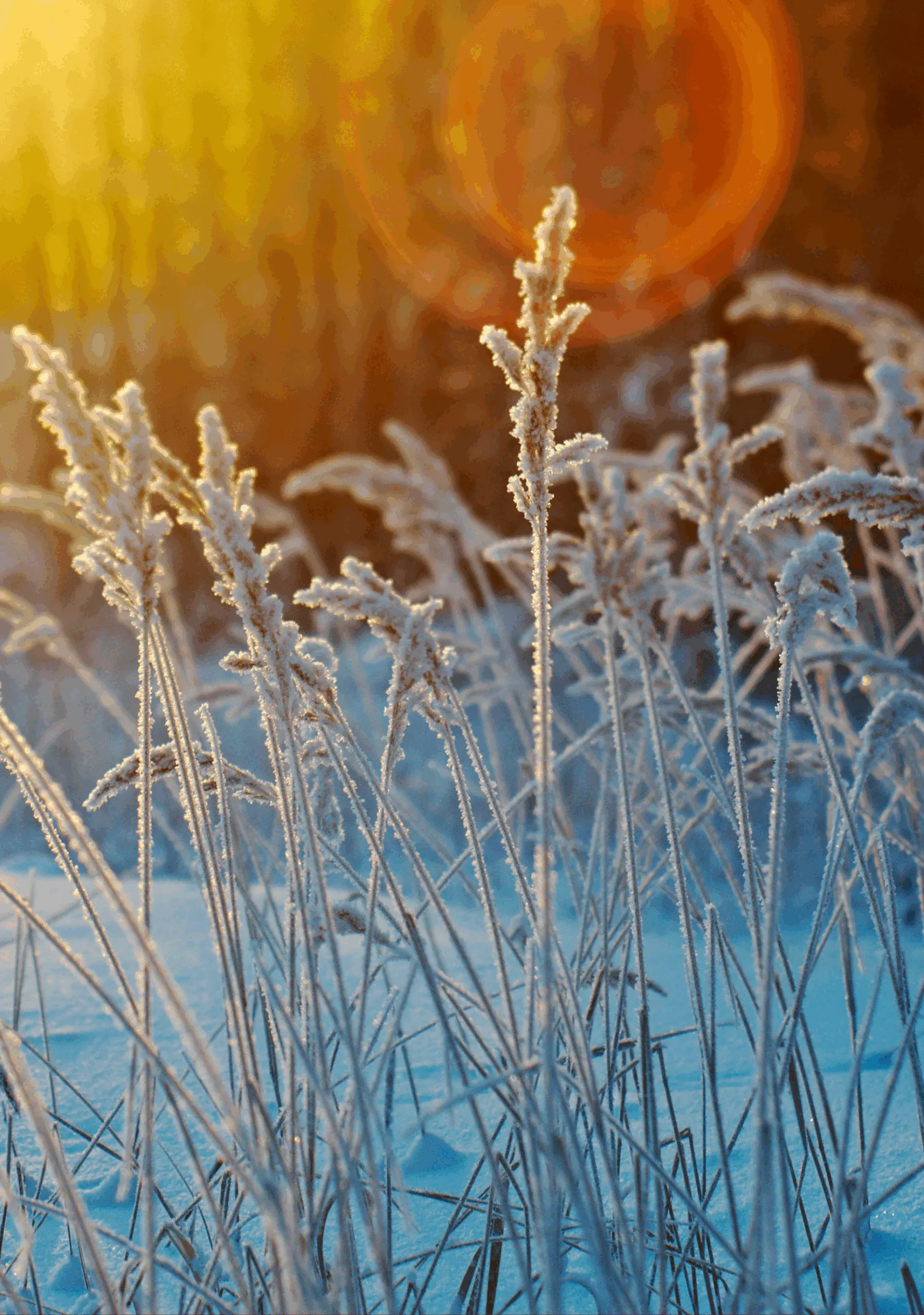Hintergrundbild Das Schöne
